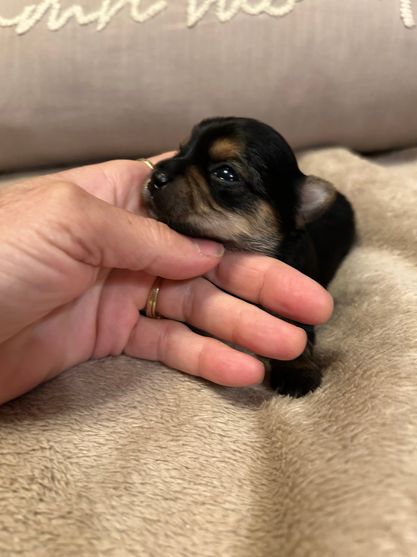New baby Girl