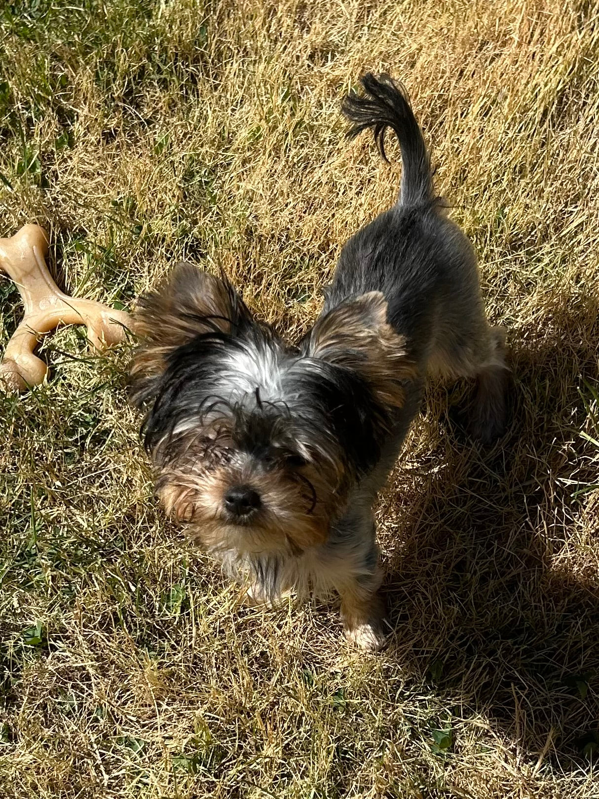 Duffy (Boy) -