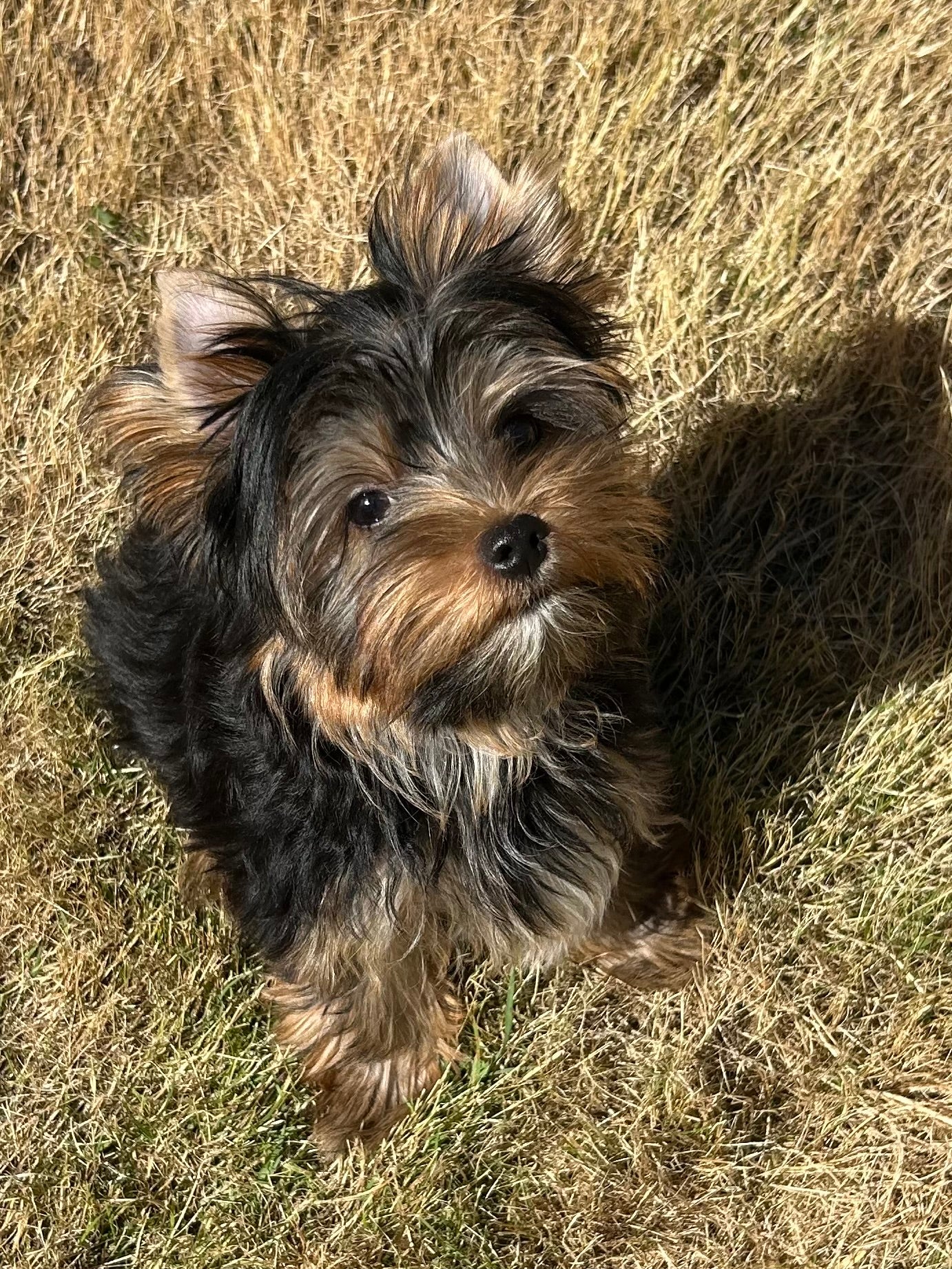 River (Boy) - Available