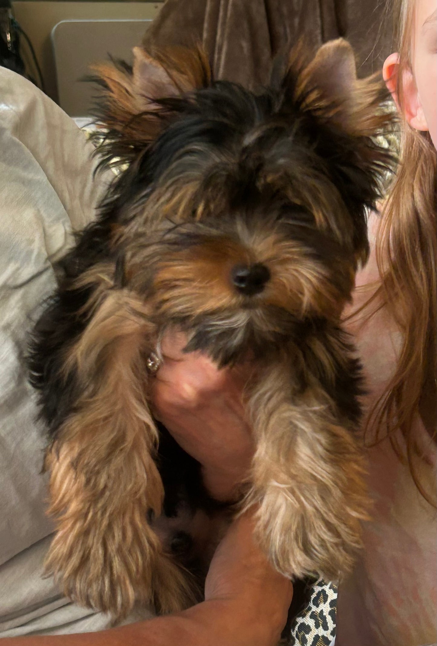 River (Boy) - Available