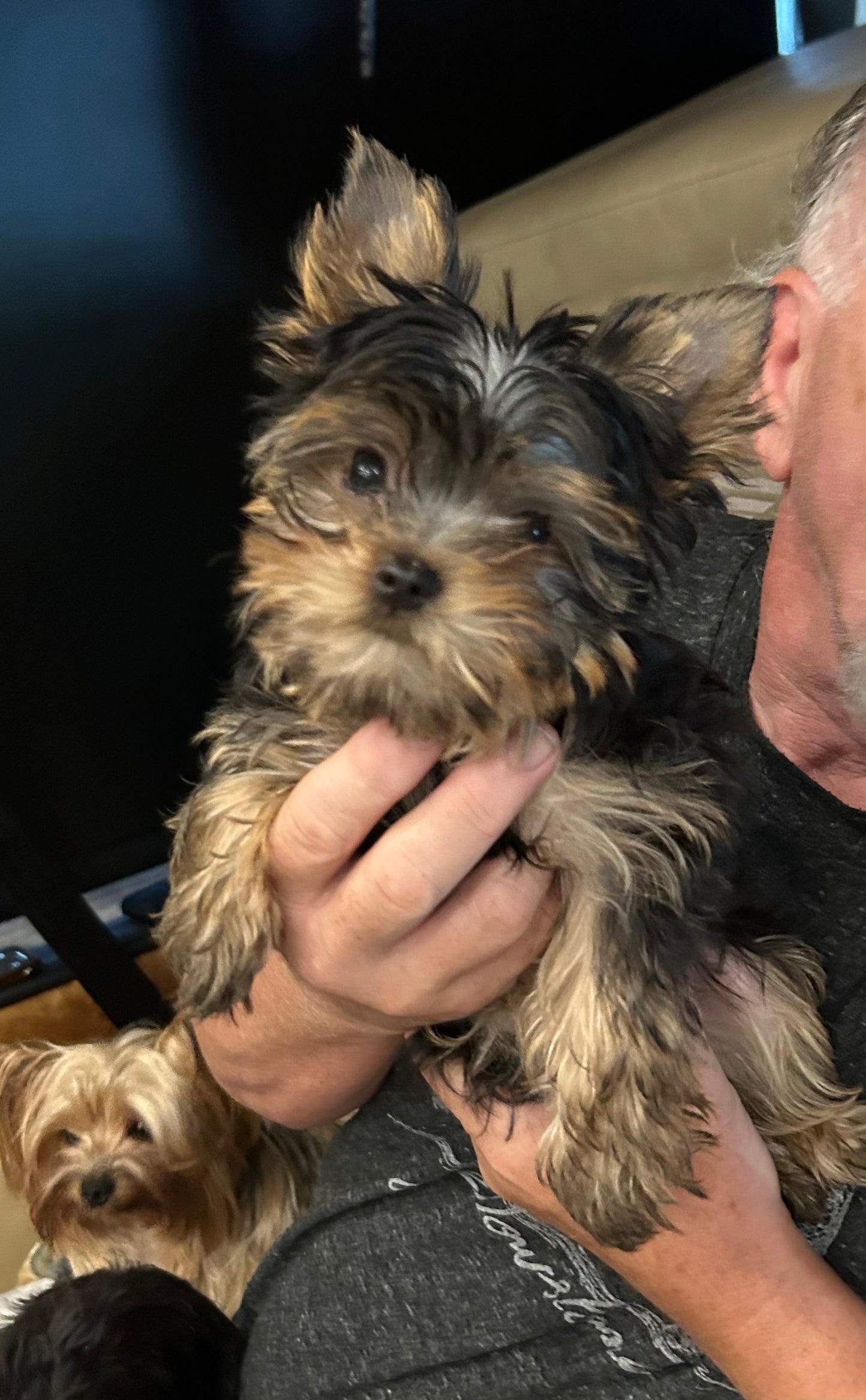 Duffy (Boy) -