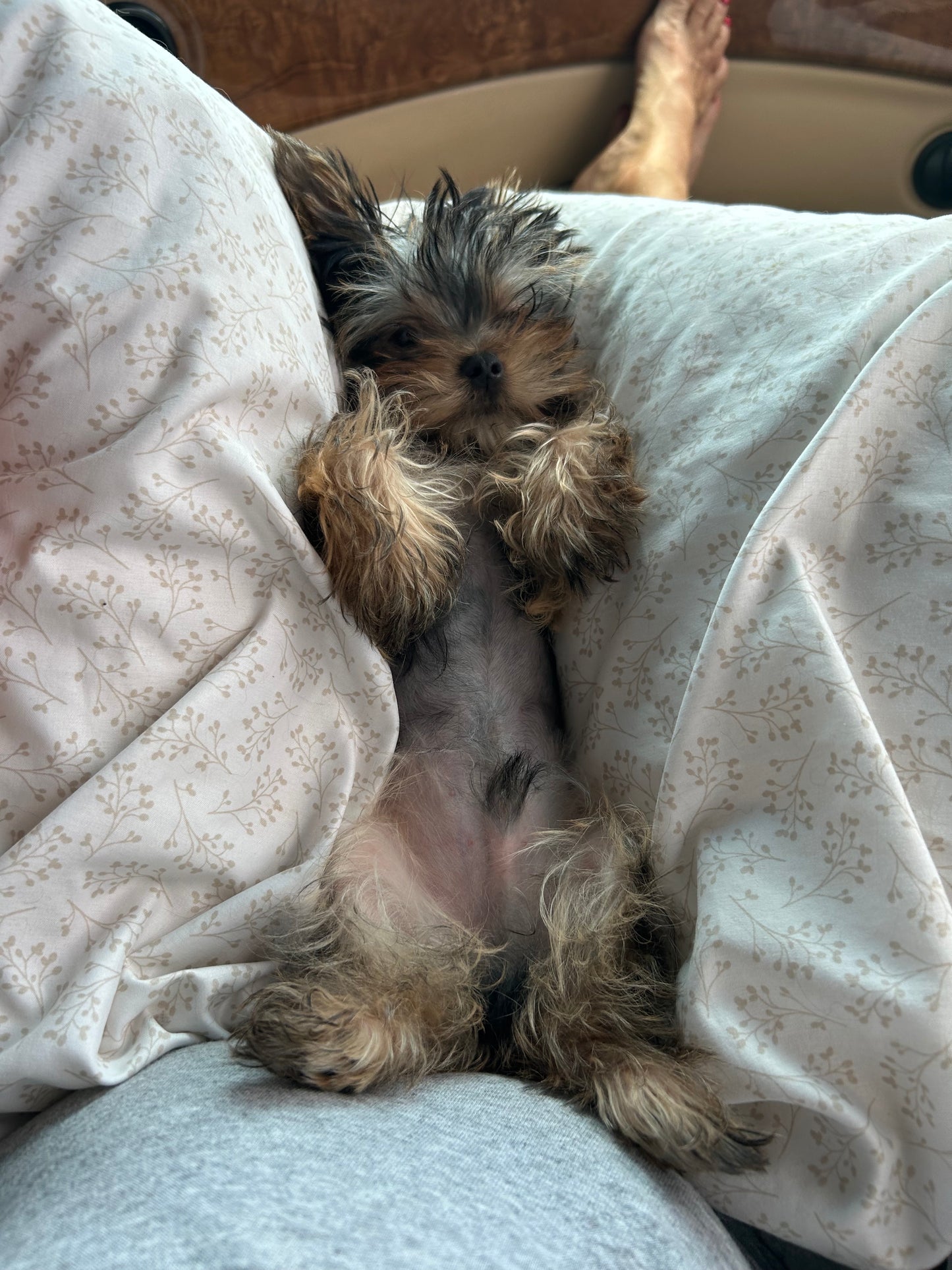 Duffy (Boy) -