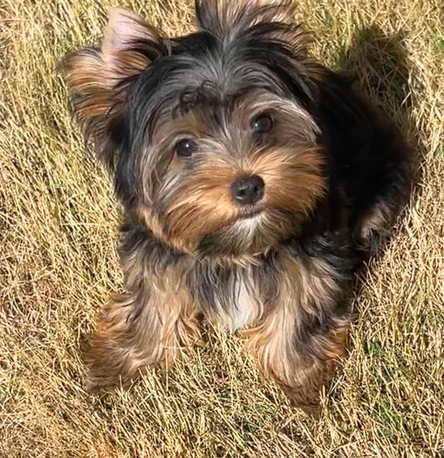 River (Boy) - Available