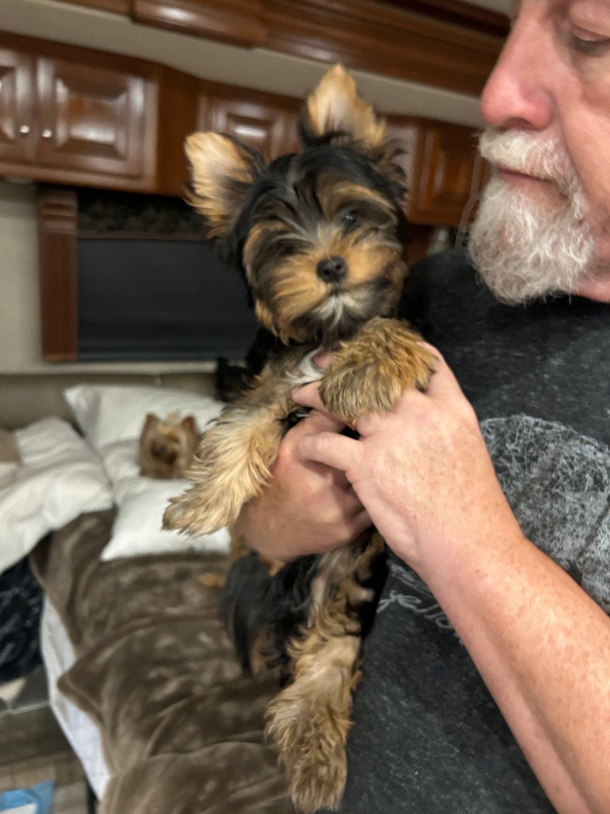 River (Boy) - Available
