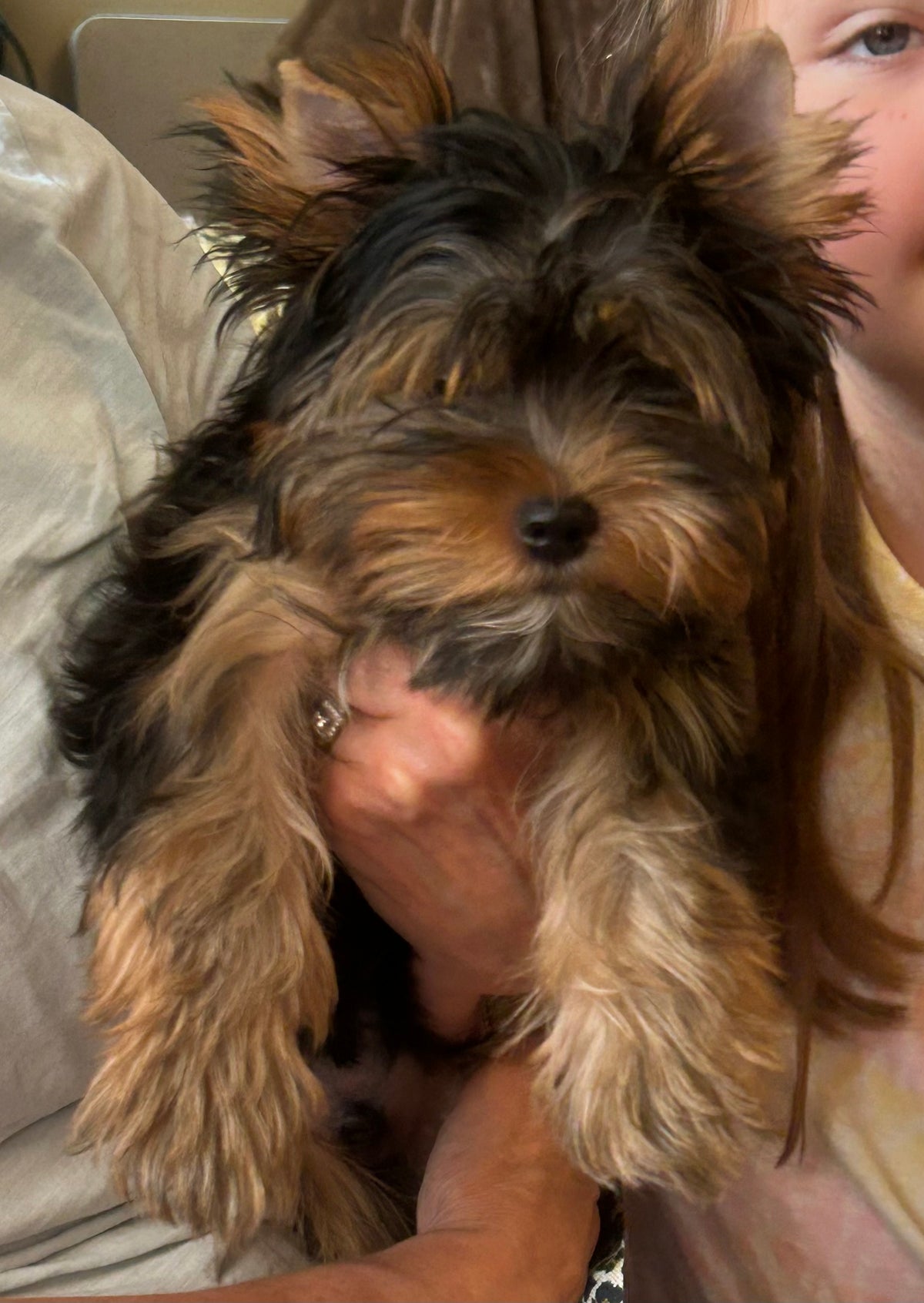 River (Boy) - Available
