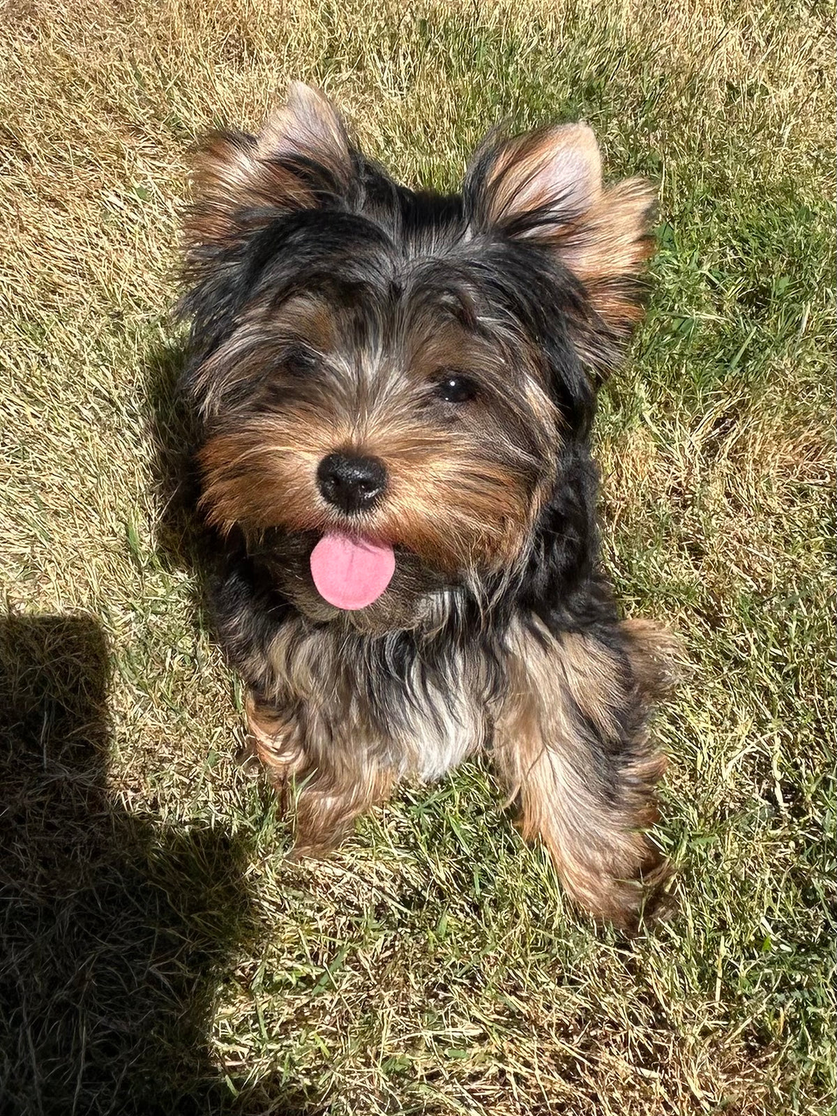 River (Boy) - Available
