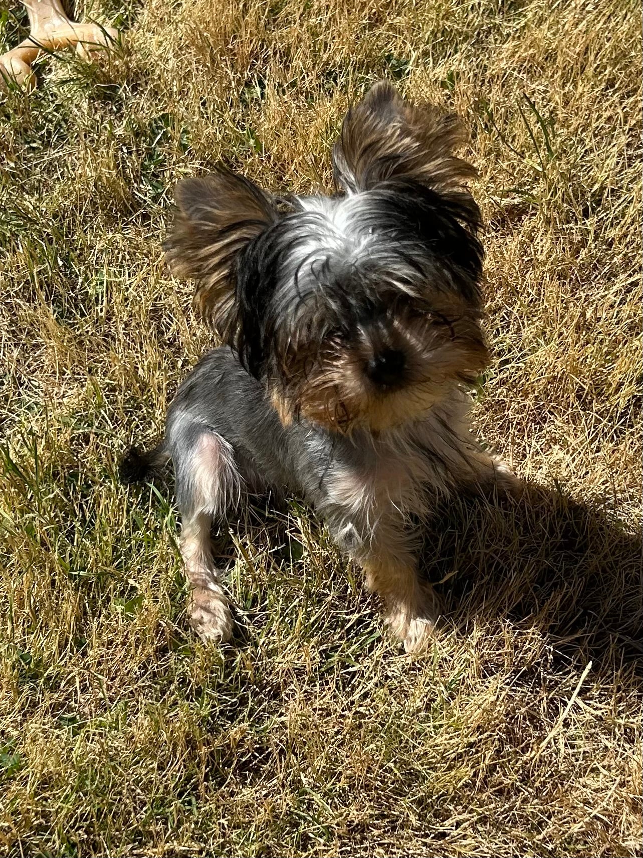 Duffy (Boy) -
