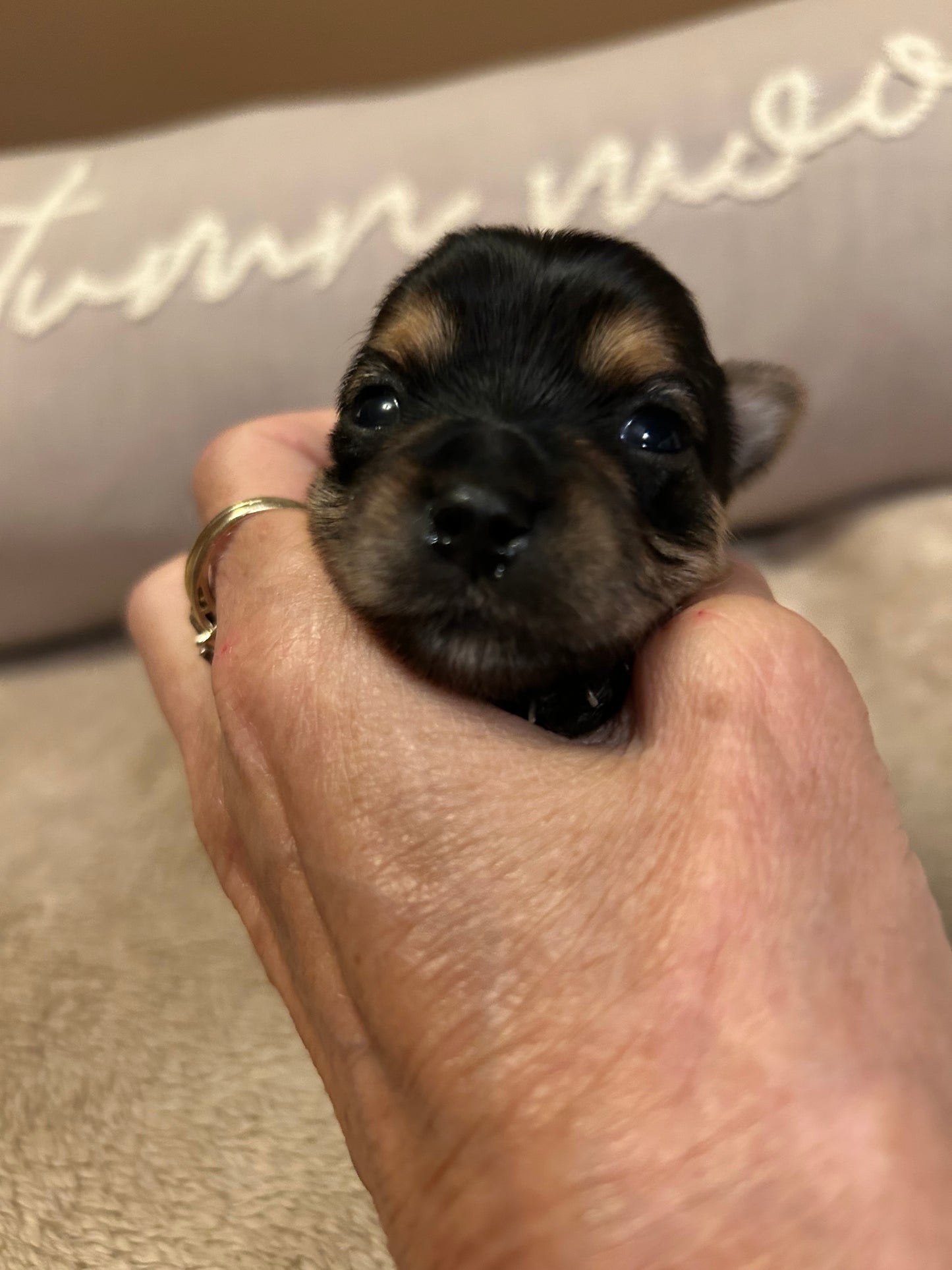 New baby Girl