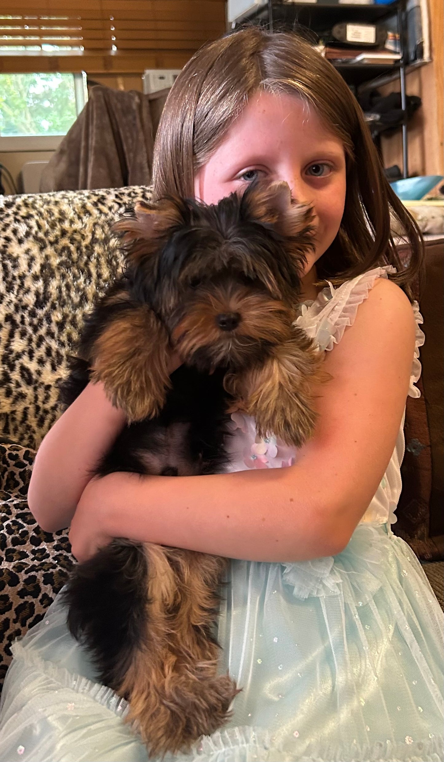River (Boy) - Available