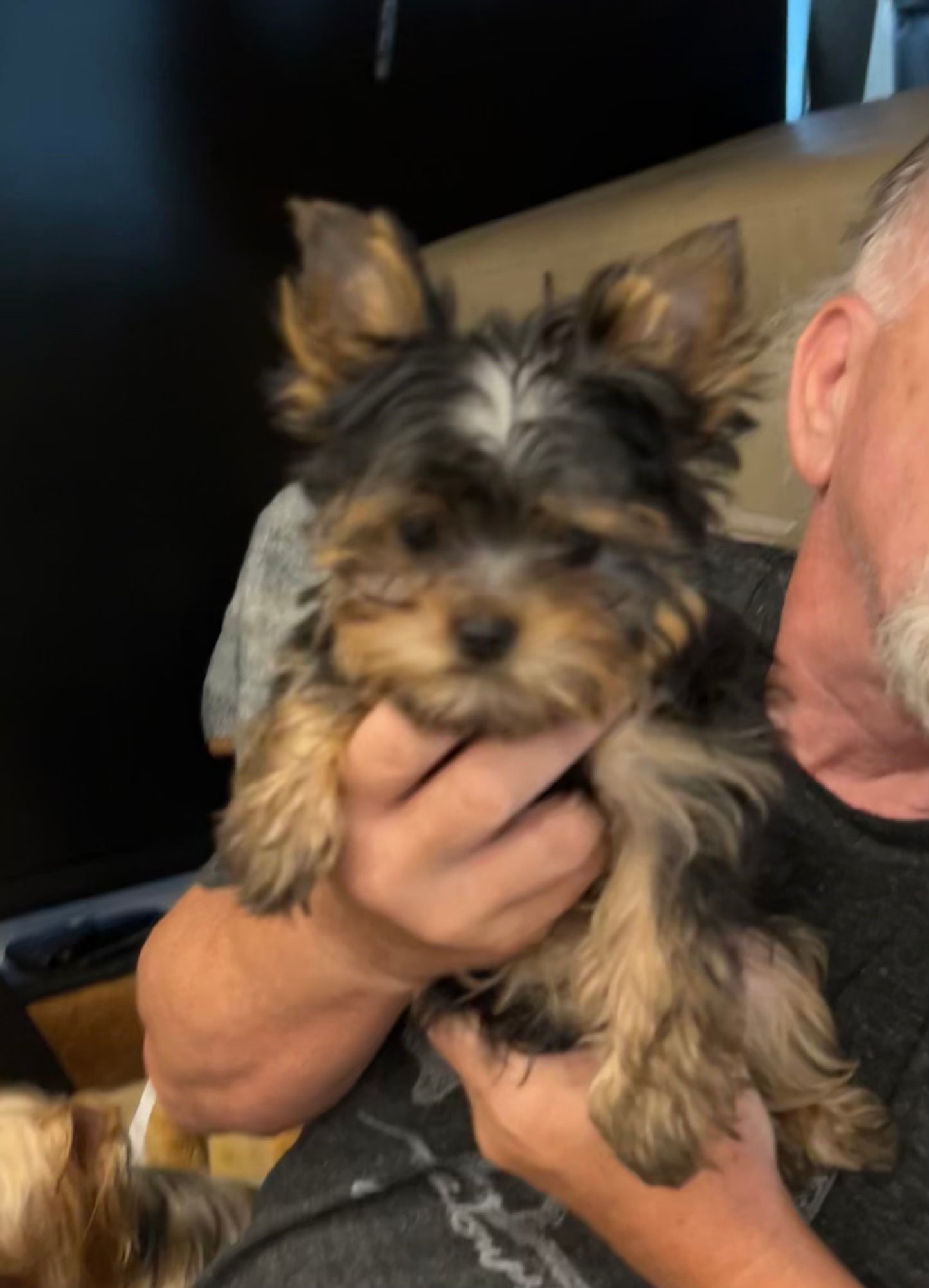 Duffy (Boy) -