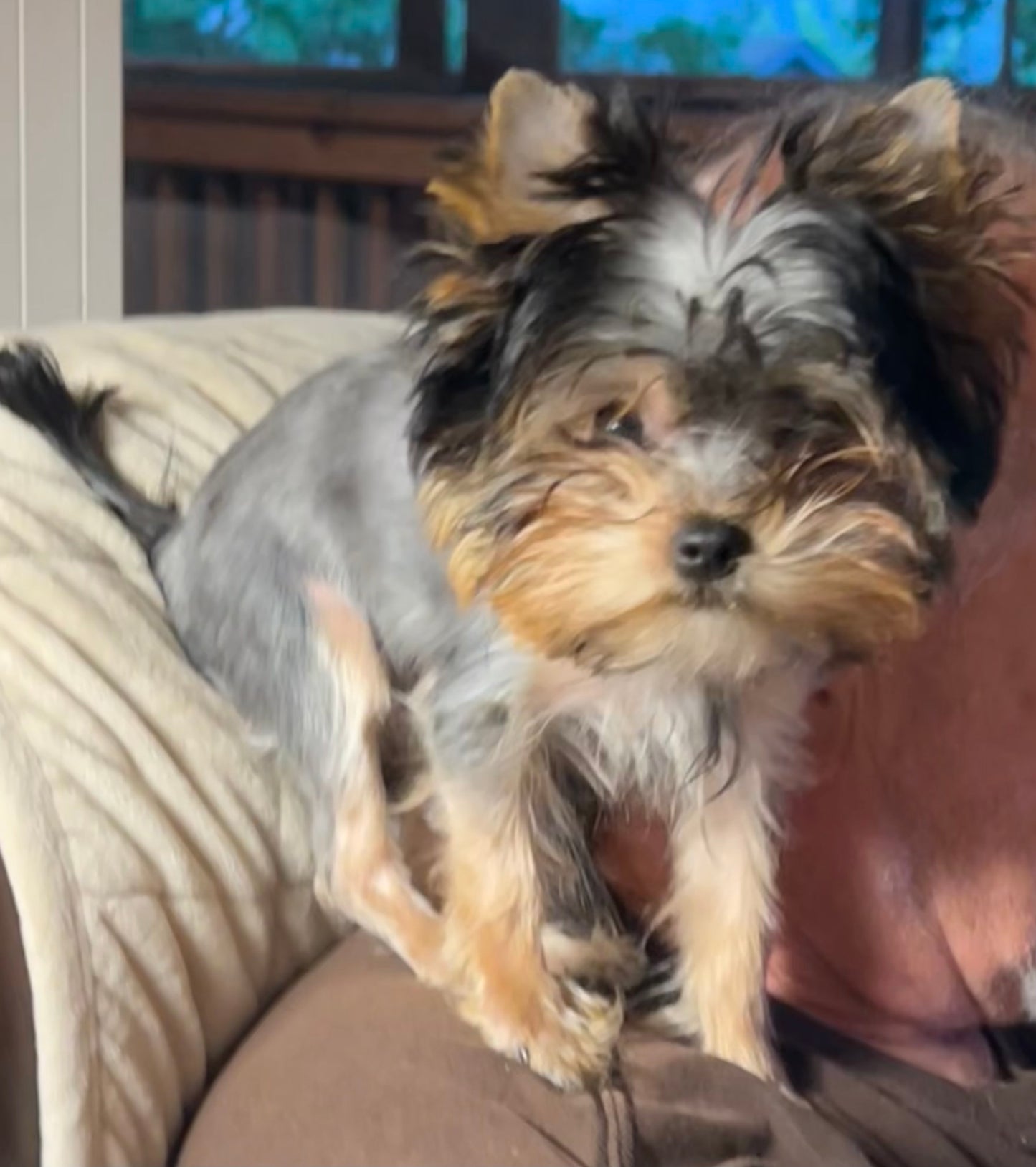Duffy (Boy) -