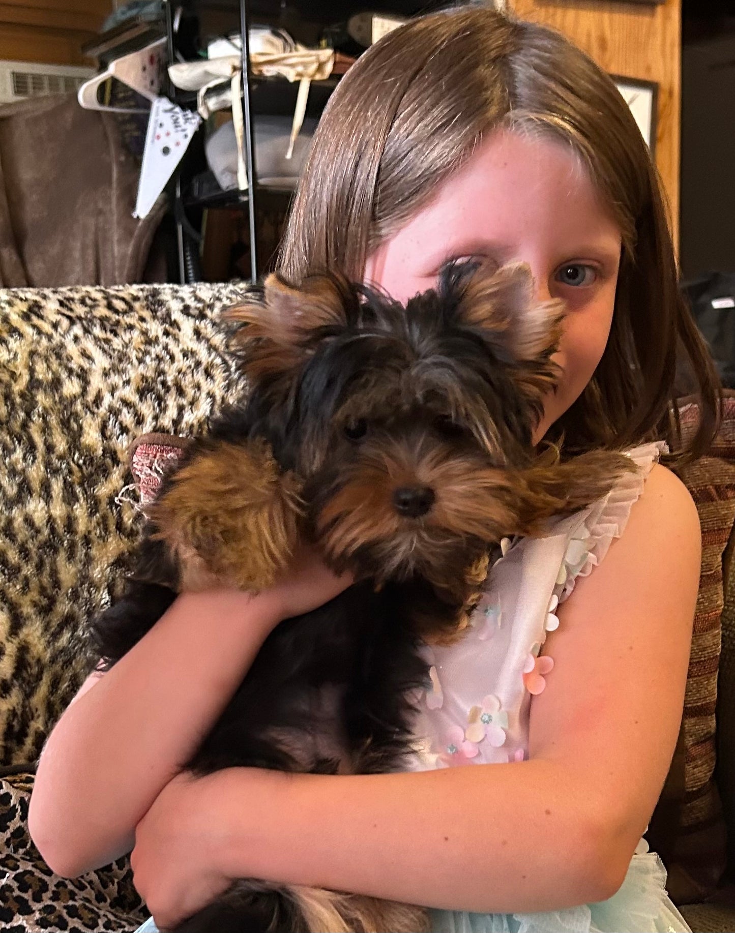 River (Boy) - Available