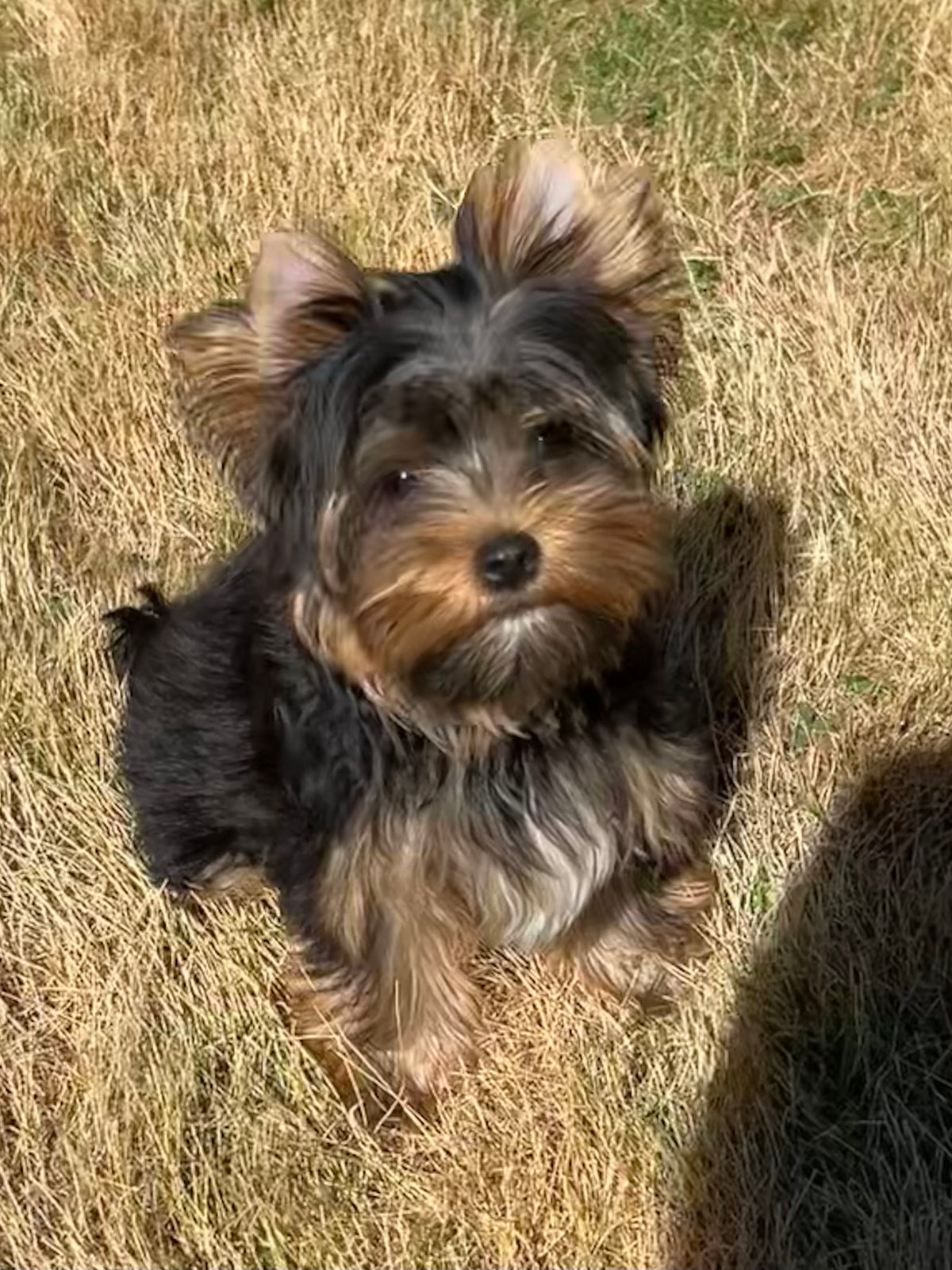 River (Boy) - Available
