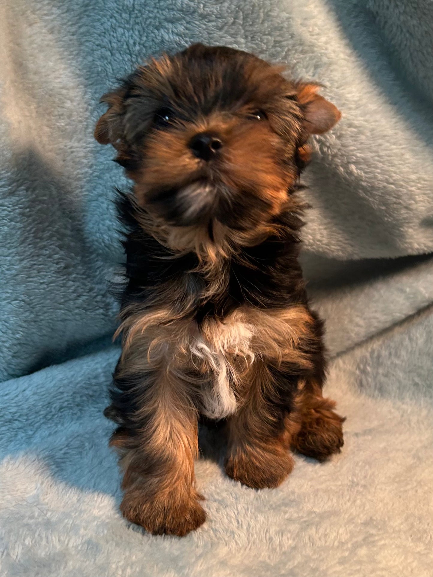 River (Boy) - Available