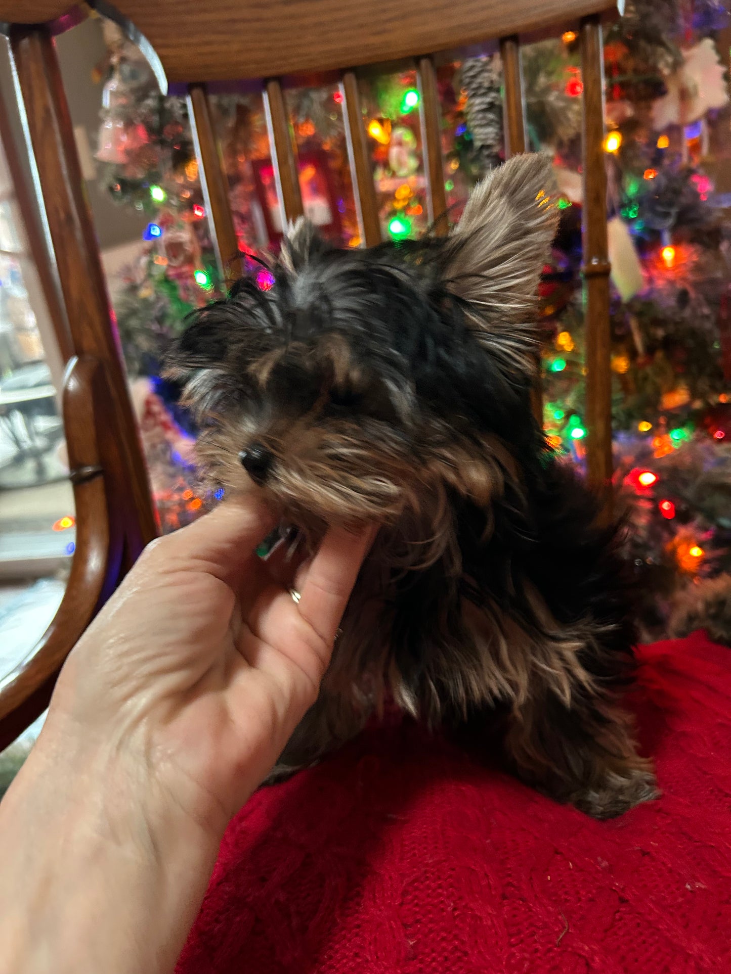 Lil Baby Trinket - Available