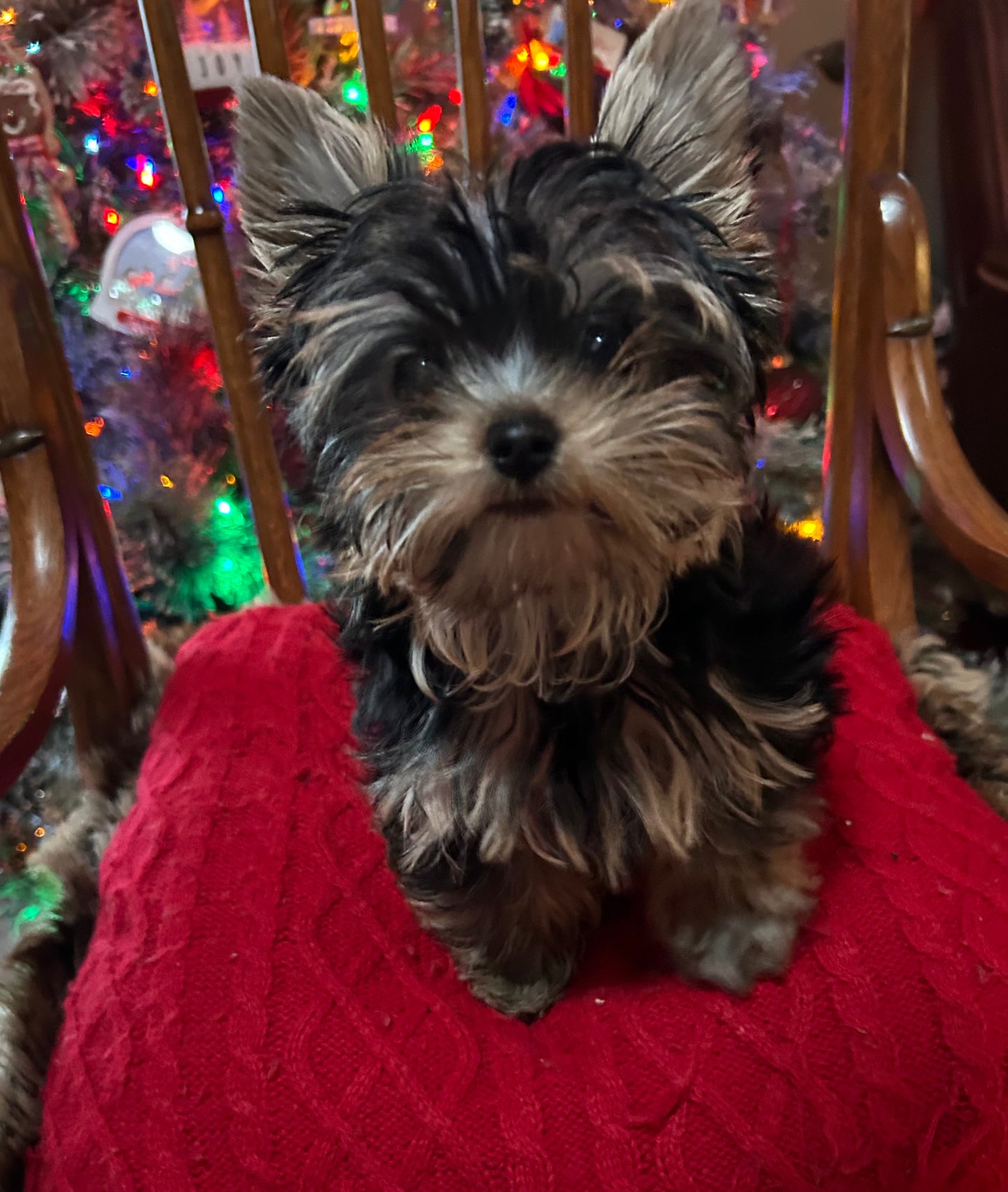 Lil Baby Trinket - Available