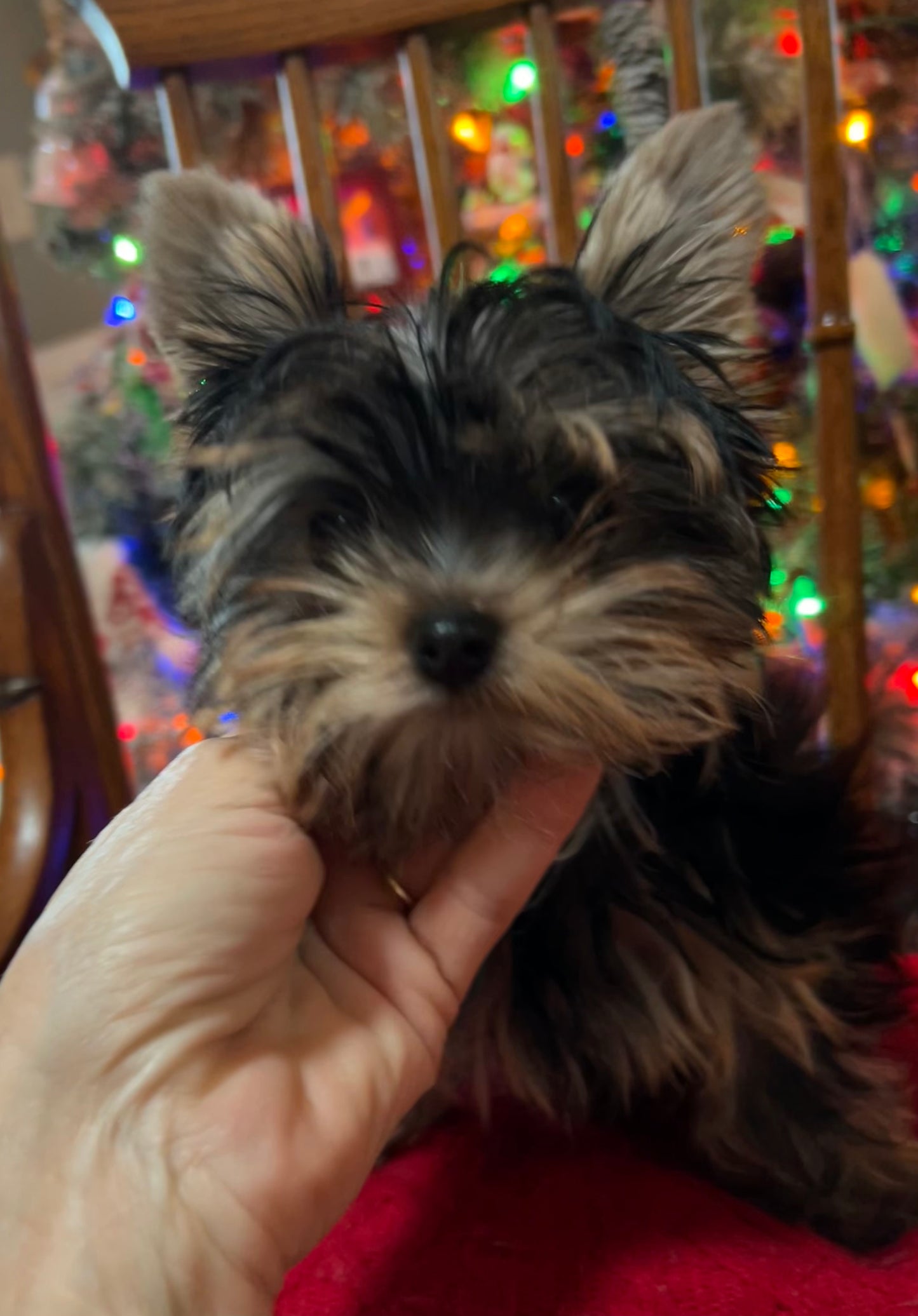 Lil Baby Trinket - Available