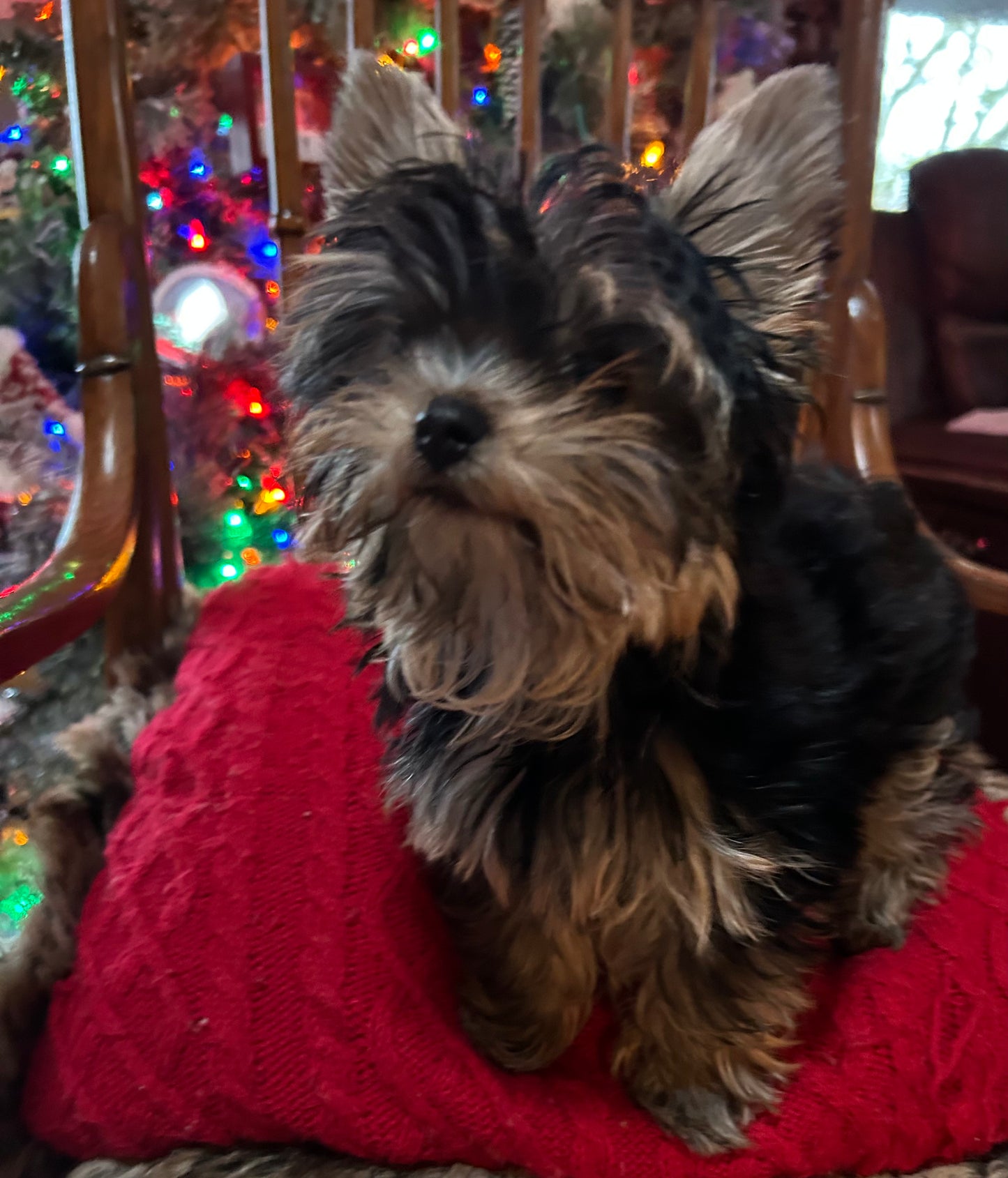 Lil Baby Trinket - Available