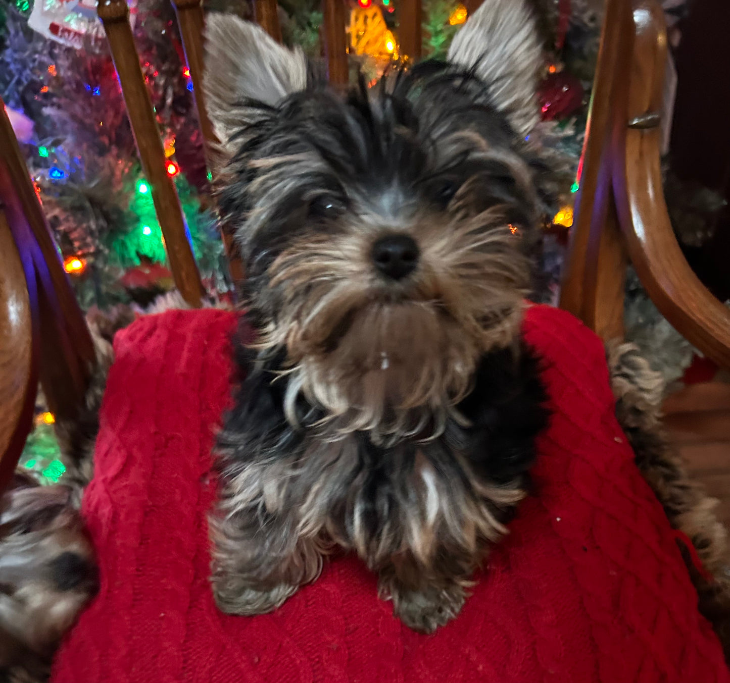 Lil Baby Trinket - Available