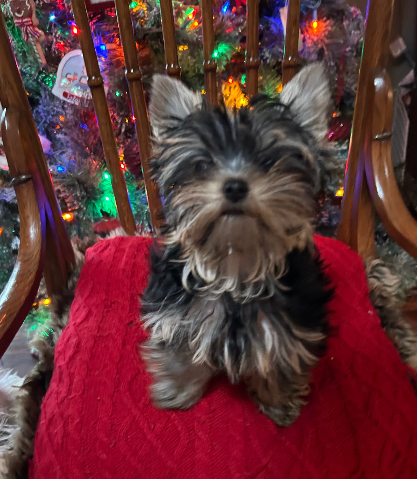 Lil Baby Trinket - Available