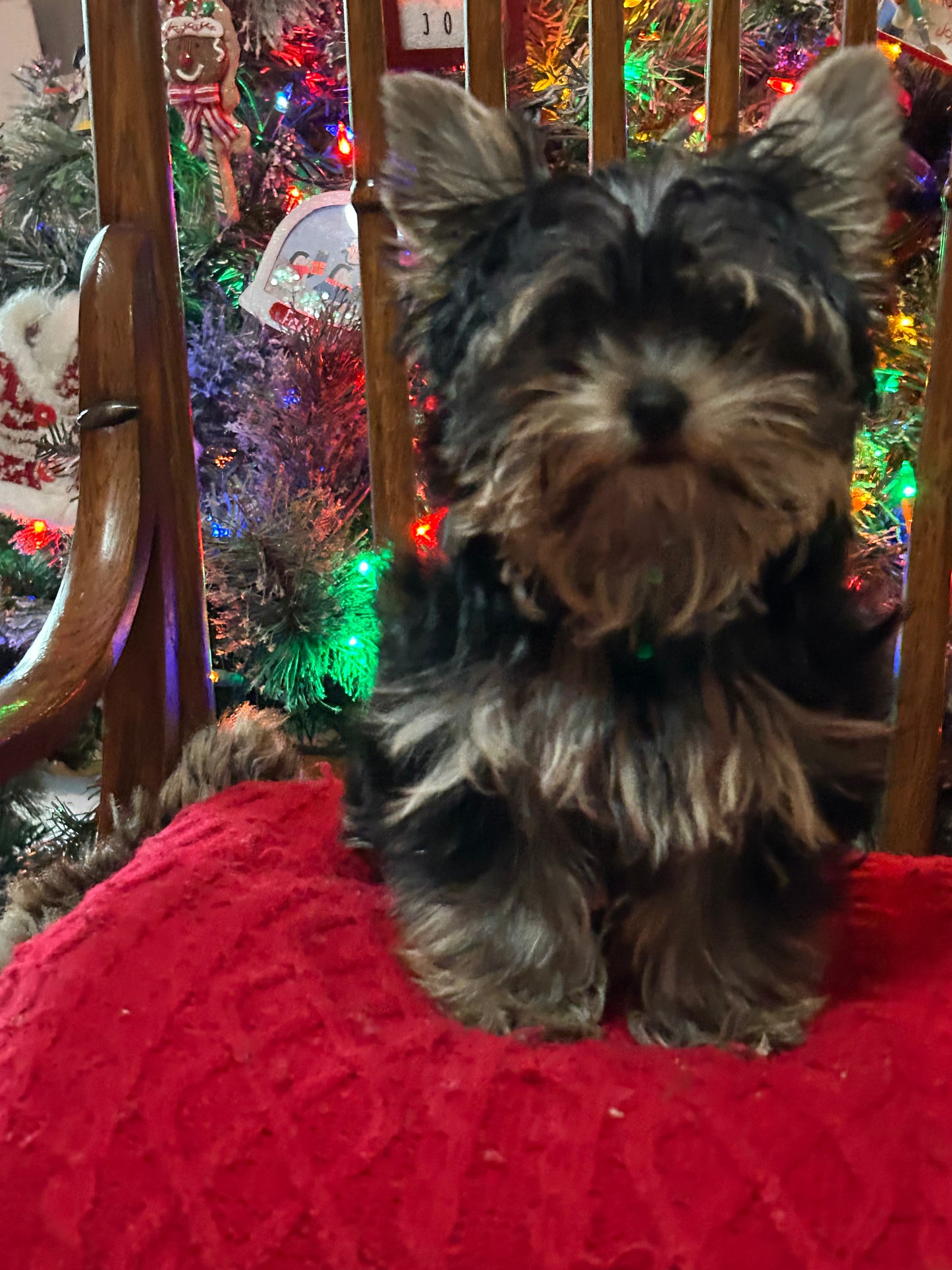 Lil Baby Trinket - Available