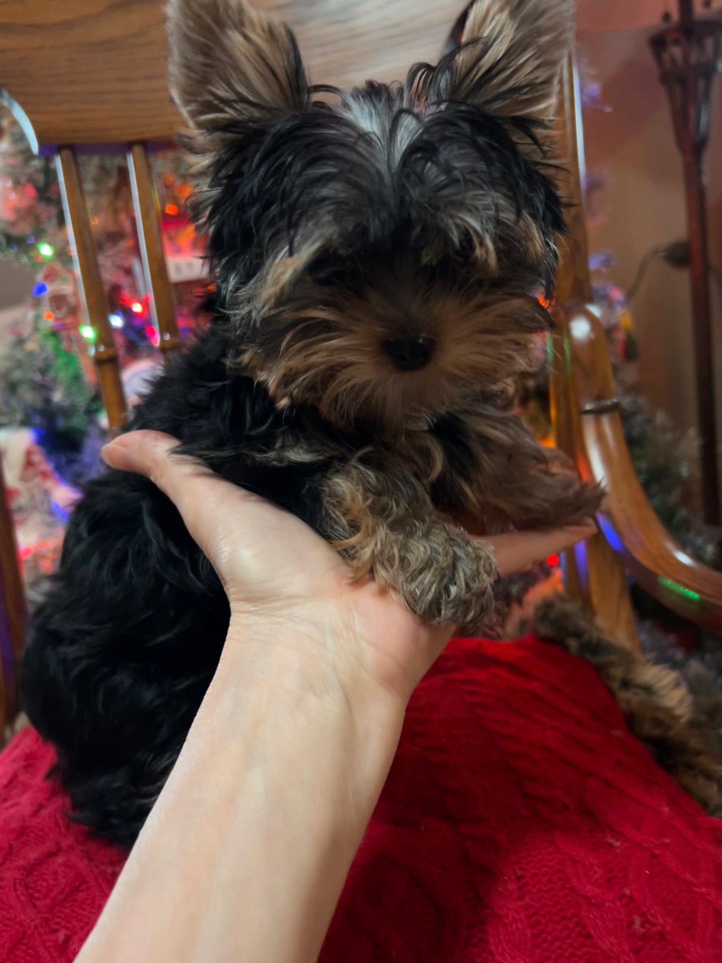 Lil Baby Trinket - Available