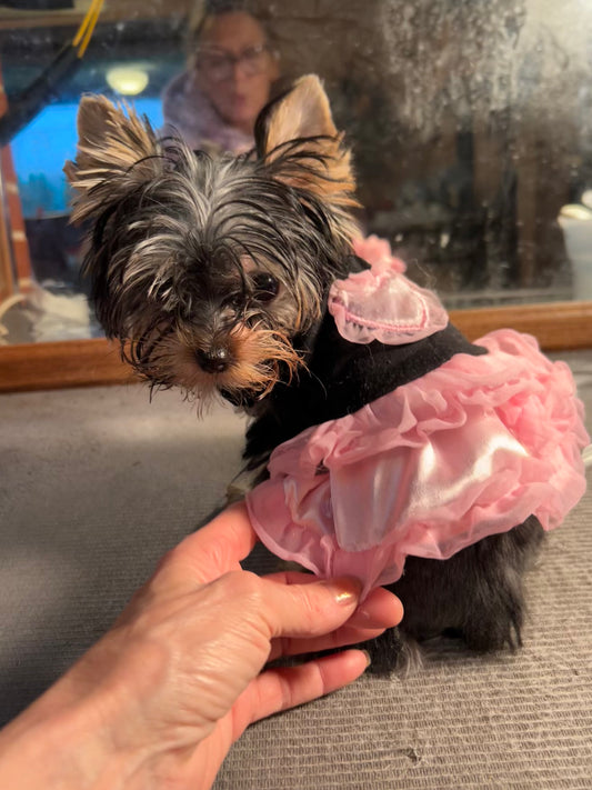 Lil Baby Trinket - Adopted